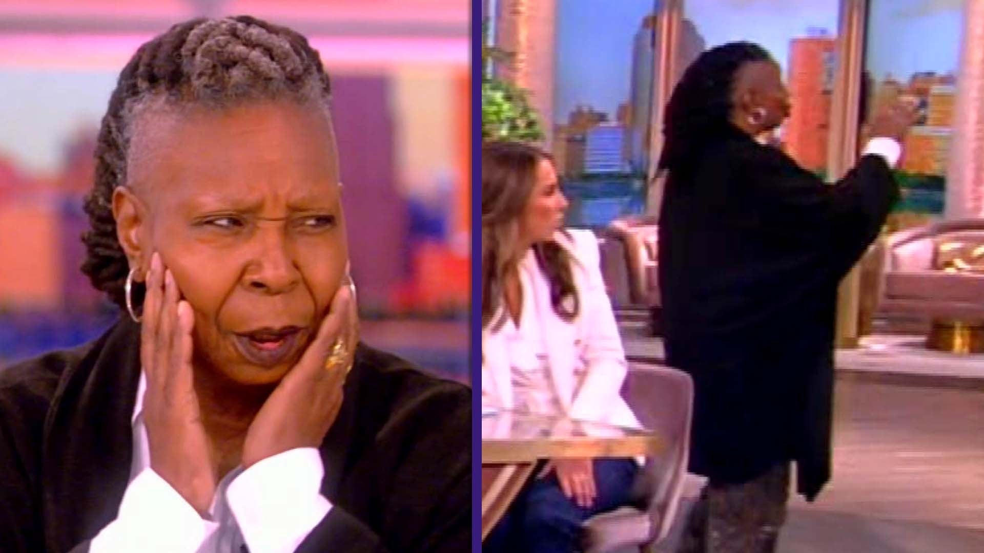Whoopi Goldberg Stops 'The View' to Scold Audience Member